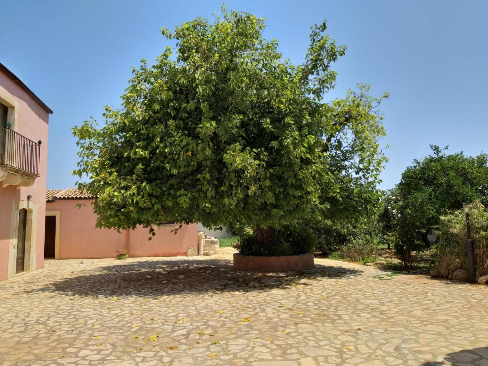 Antica Gebbia Syracuse Exterior foto